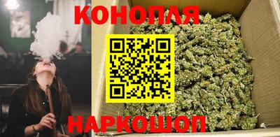 гашик Ливны