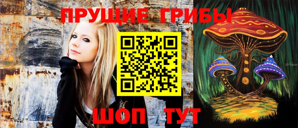 Псилоцибиновые грибы мицелий  Вход с VPN  Городец 