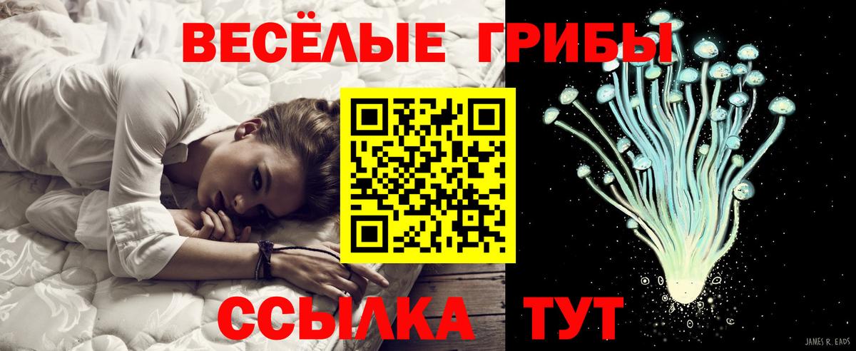 Галлюциногенные грибы MAGIC MUSHROOMS Городец